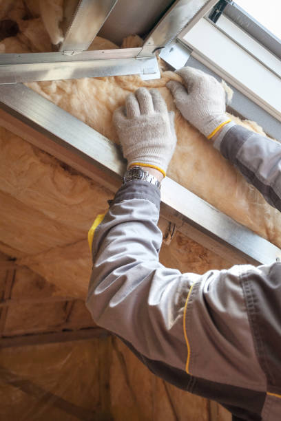 Best Residential Insulation in Withamsville, OH