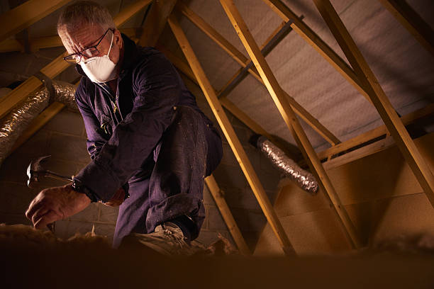 Best Types of Insulation in Withamsville, OH